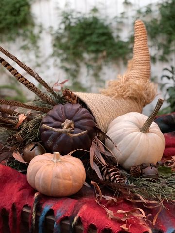 Cornucopia 