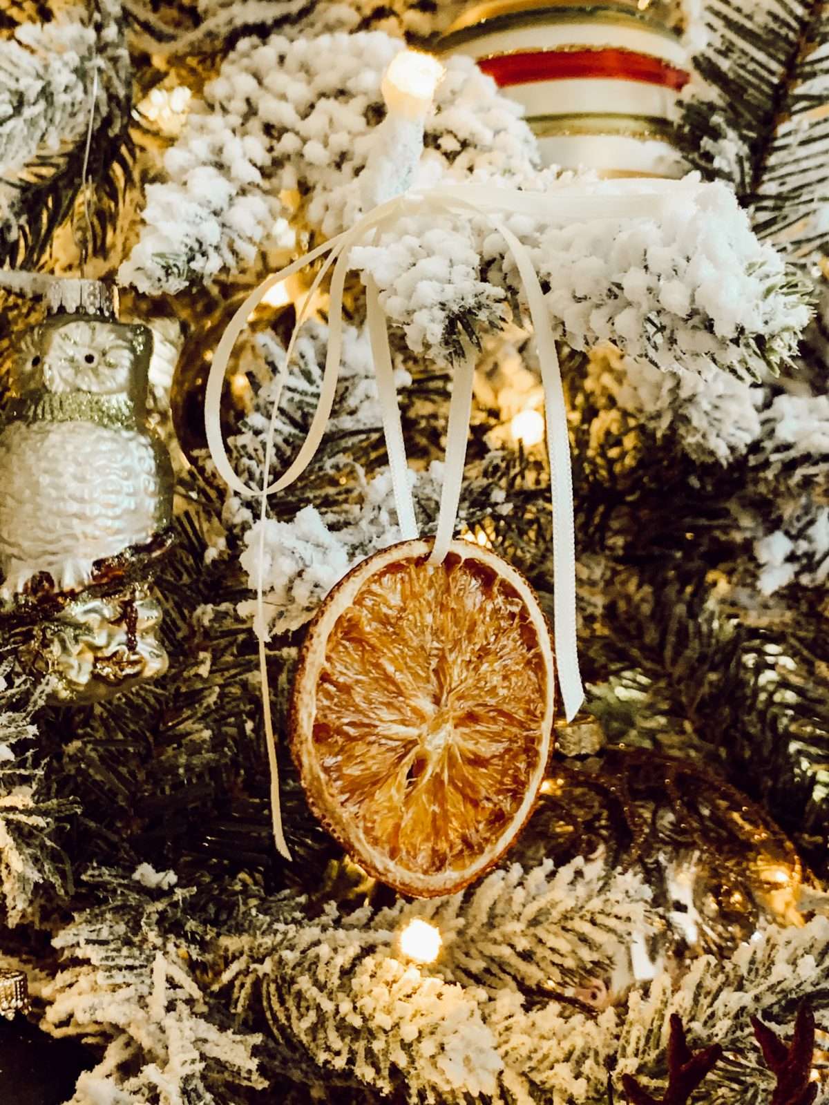 Dried orange slice ornaments are the perfect addition to the Christmas tree.