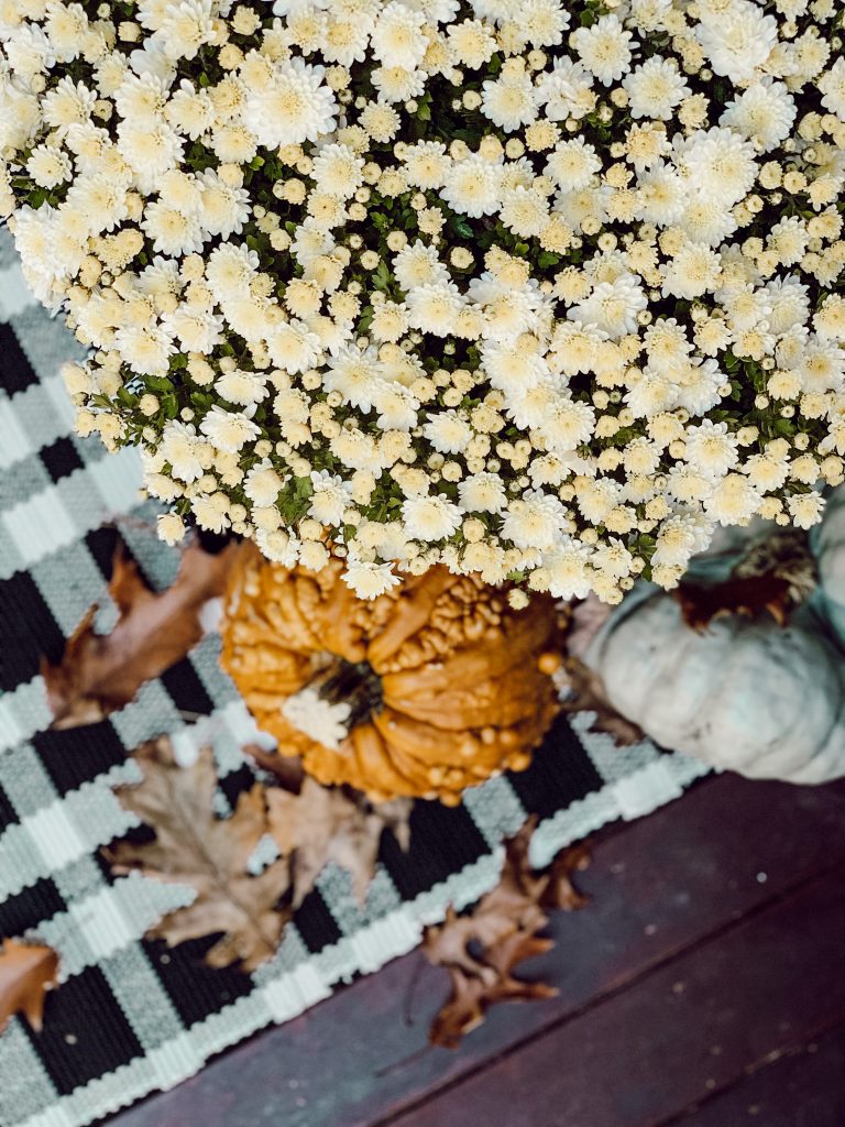 Front door decorations with a plaid doormat, mums, and pumpkins.