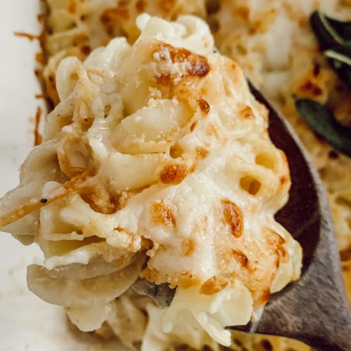 Creamy pumpkin pasta sauce recipe with pumpkin butter.