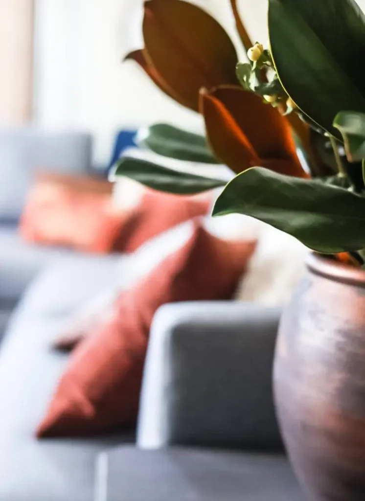 Easy Ways to Refresh in January