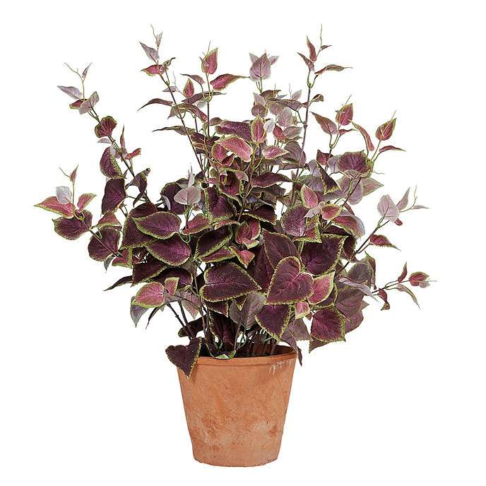 Faux Coleus Potted Plant