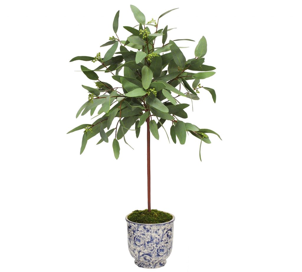 Faux Eucalyptus
