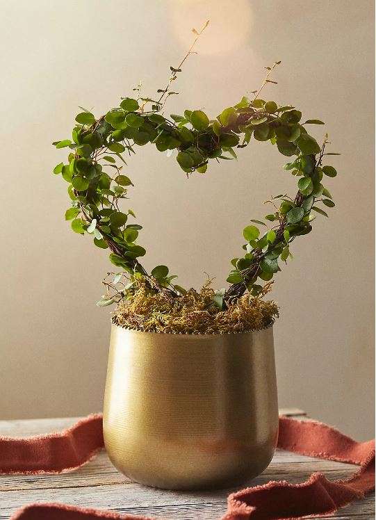 Valentine Topiary