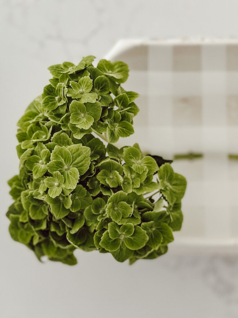 Using scotch tape, create a grid on the top of the soup tureen to easily add flowers to the arrangment.