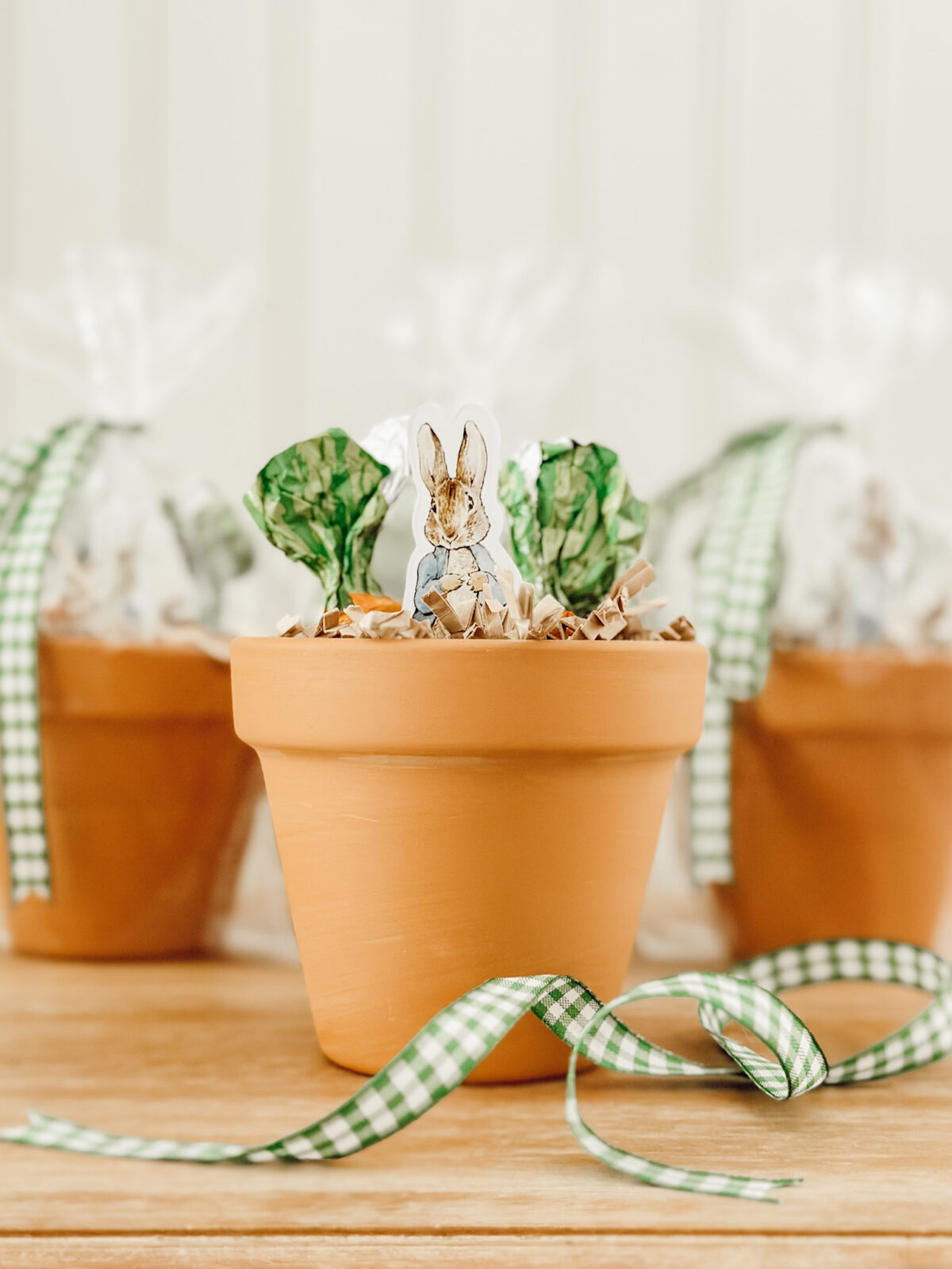 Easy to make DIY Easter gift with Peter Rabbit cutouts, chocolate carrots, and terracotta flower pots.