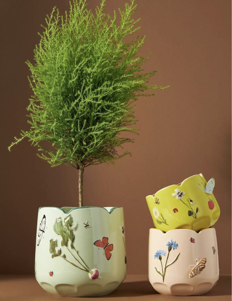 Vases are a great gift for mom to show off fresh cut flowers.