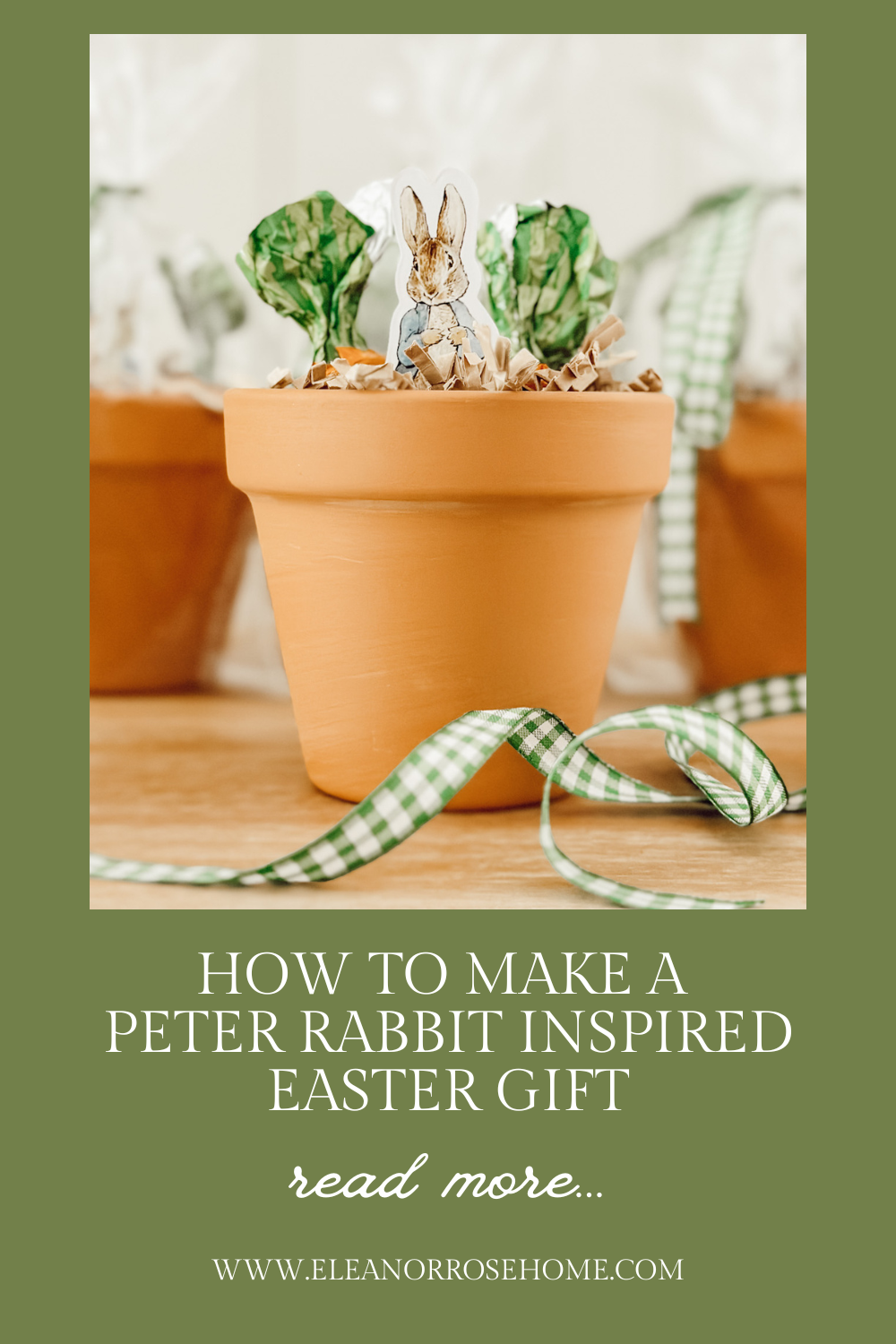 Pinterest graphic how to make a Peter Rabbit inspired Easter gift.