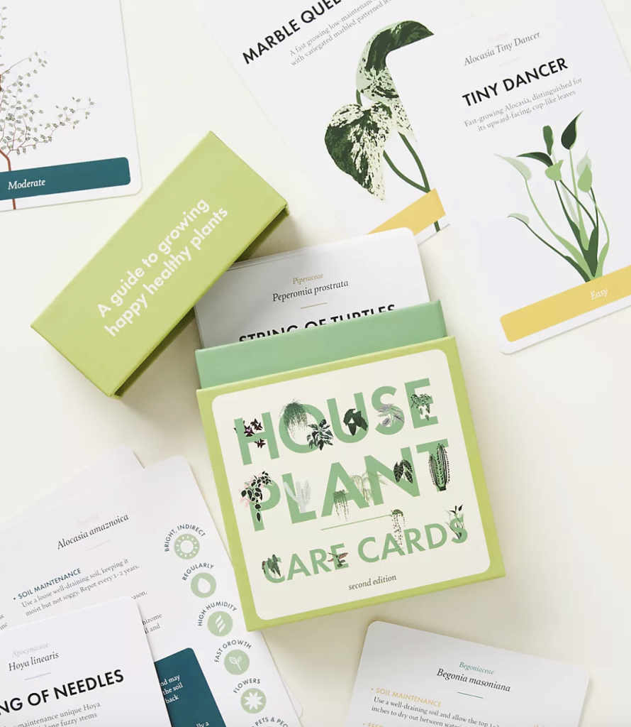 Plant care cards for the mom who needs help keeping house plants alive.