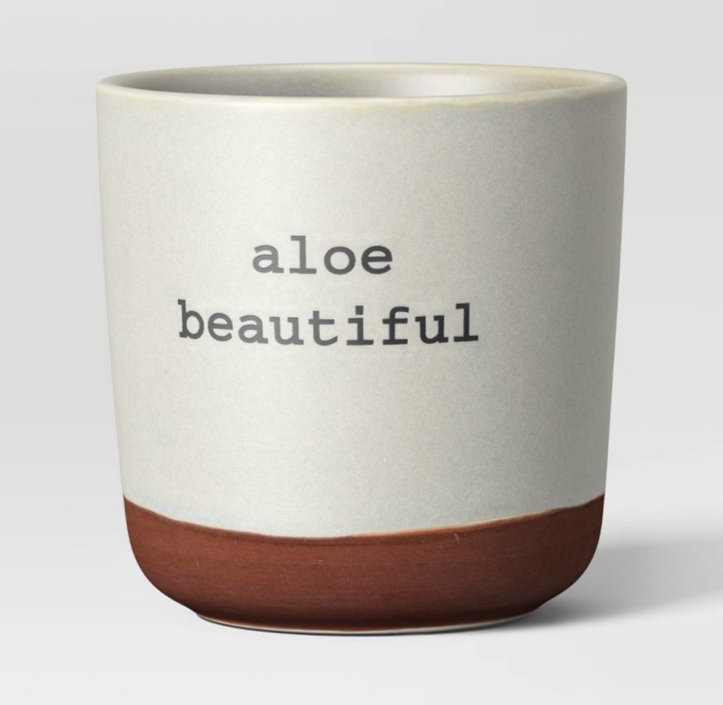 Aloe Beautiful planter from Target for planting flowers.