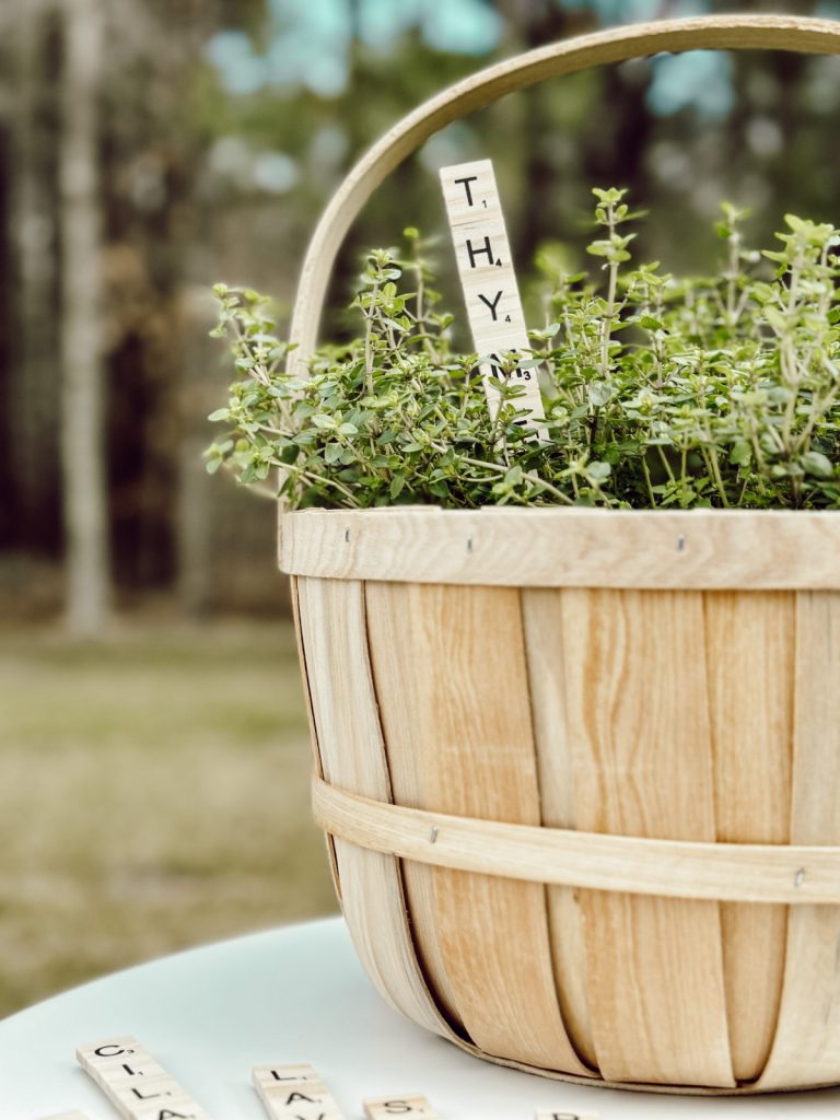 Potted thyme with a DIY plant label made with scrabble tiles & bamboo stick.