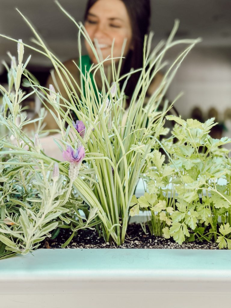 Fresh herbs in a kitchen window box is the perfect way to keep your home fresh for summer.