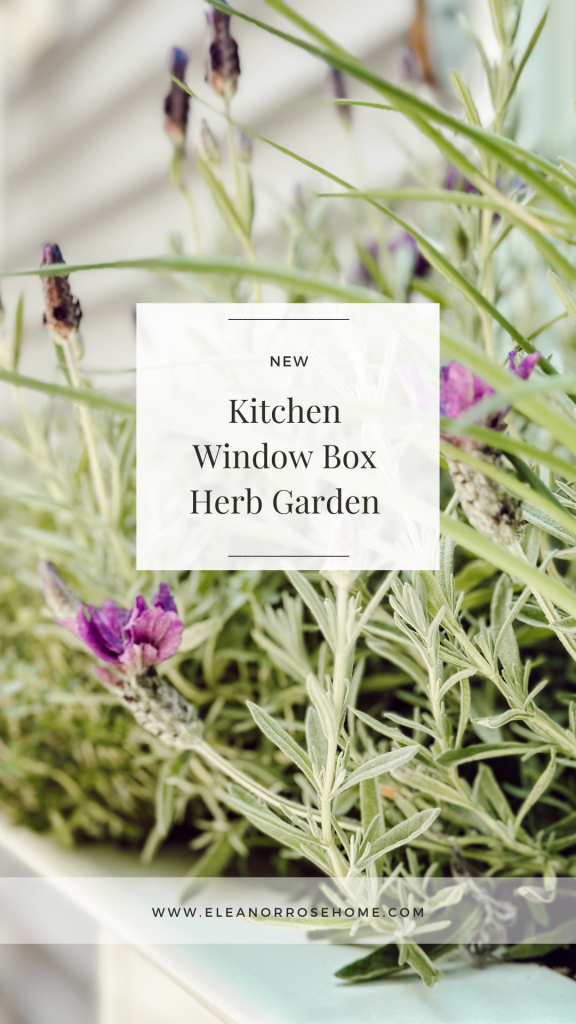 Tips on why you should add a window box herb garden to your kitchen.