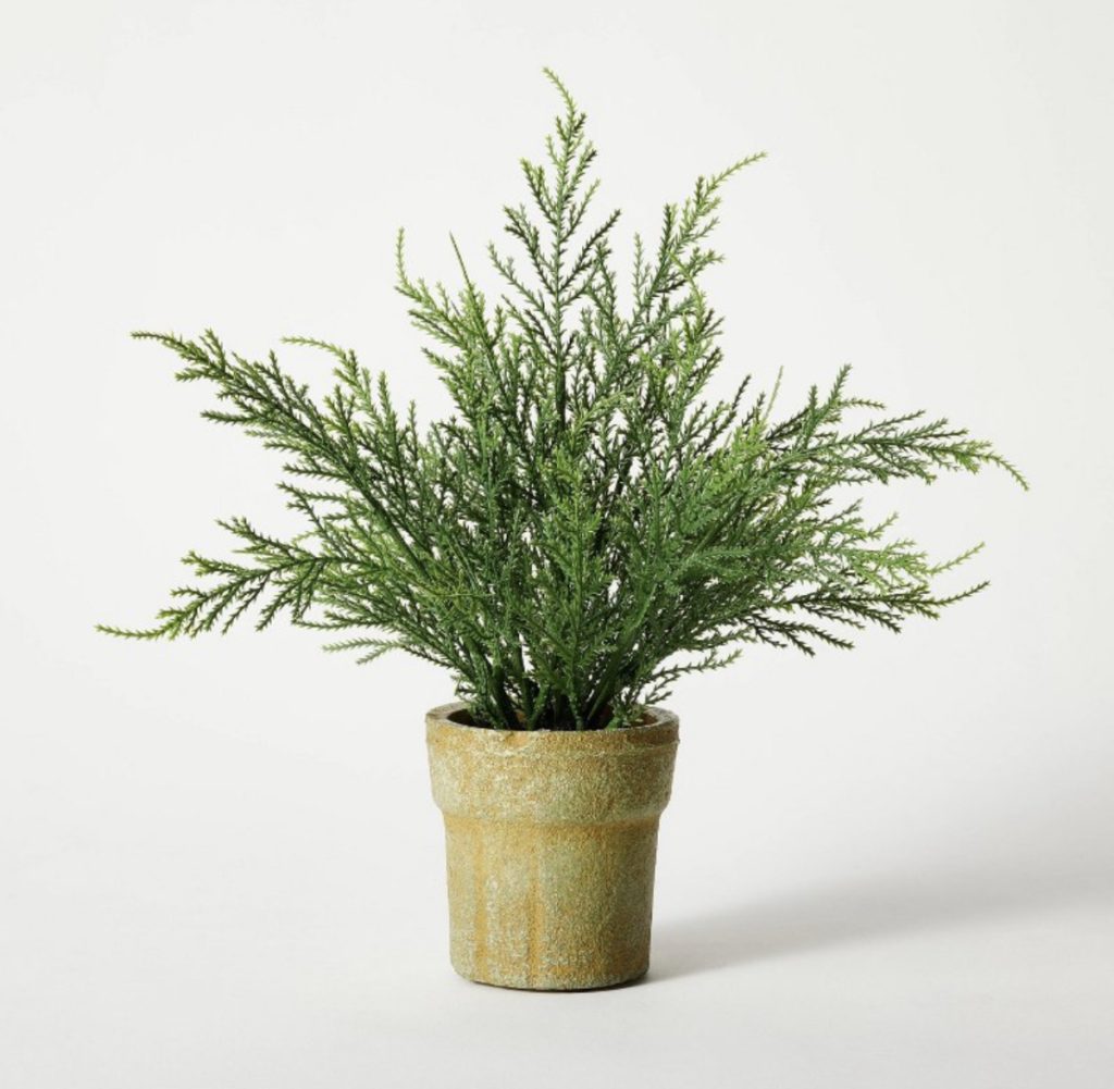 Potted fern in a mossy pot for cottage farmhouse decor.