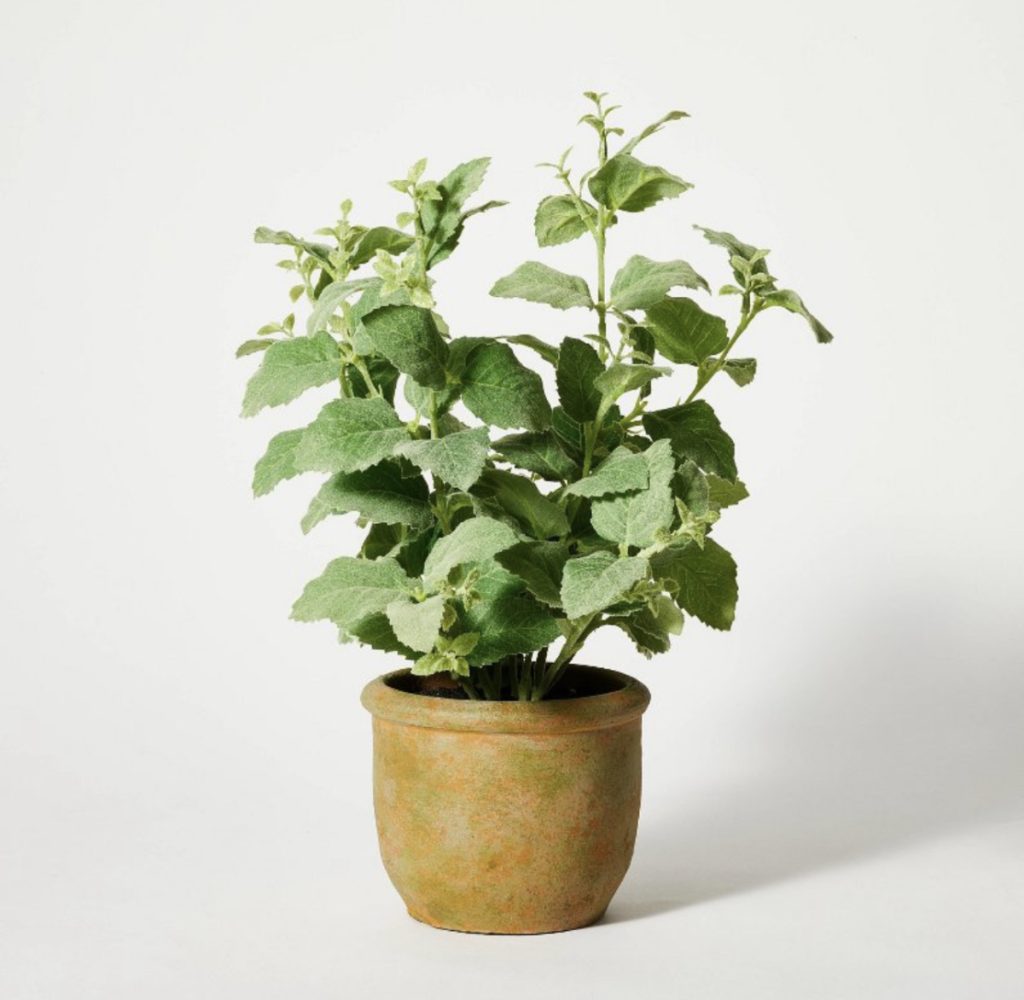 Faux potted plant that can be used on a shelf or on a kitchen counter.