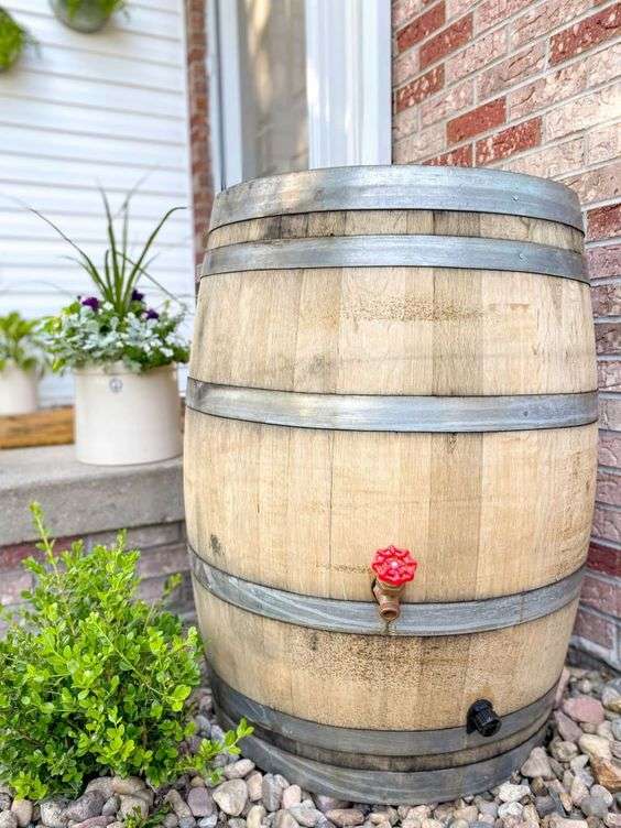 A DIY rain barrel is a great way to save & conserve water.