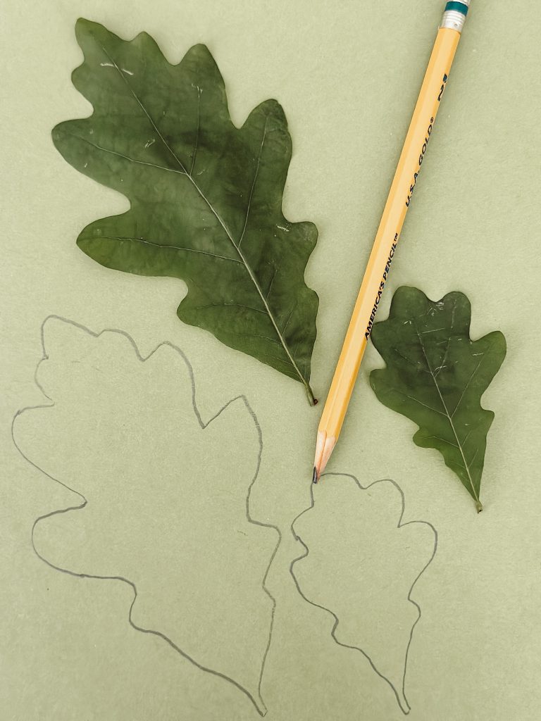 Trace real oak leaves onto green card stock to create paper oak leaves.