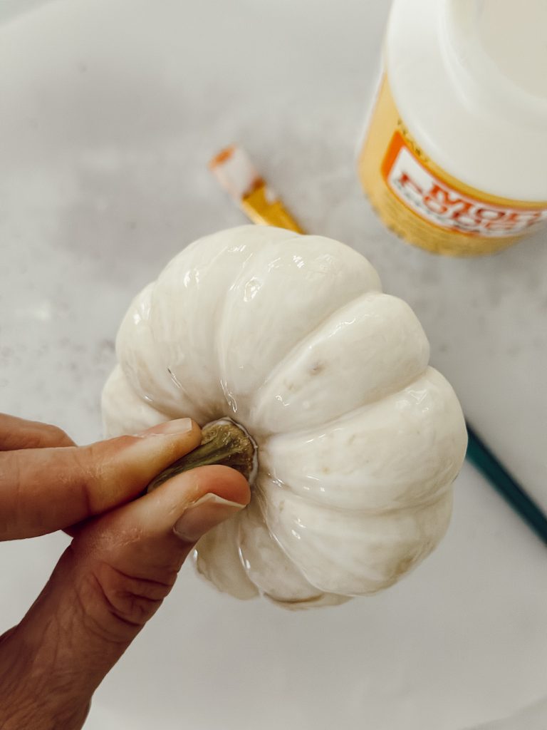 Apply Mod Podge to a small white pumpkin for the adhesive for the sparkles.