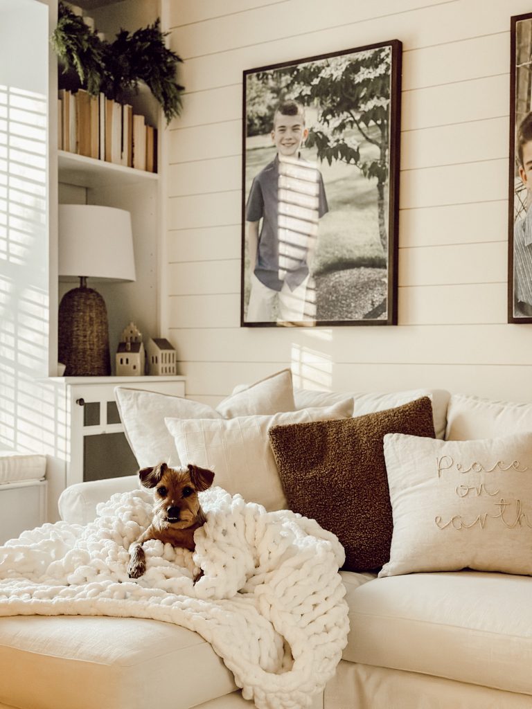 Indoor Christmas decor ideas that are simple and budget friendly.