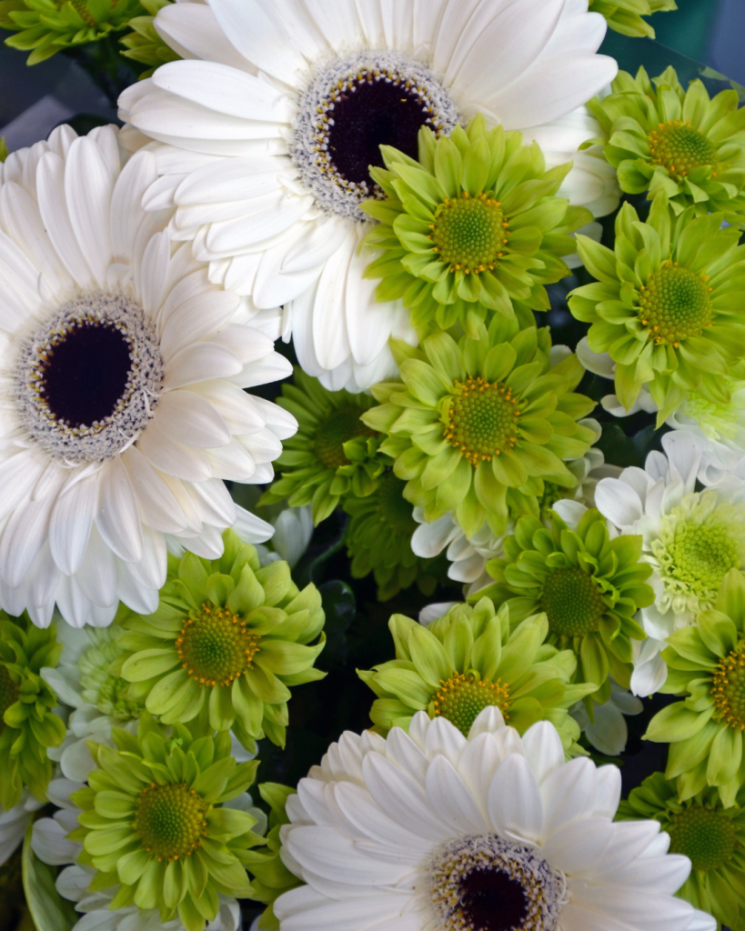 Gerbera daisies are a great way to add height & texture to a spring centerpiece.