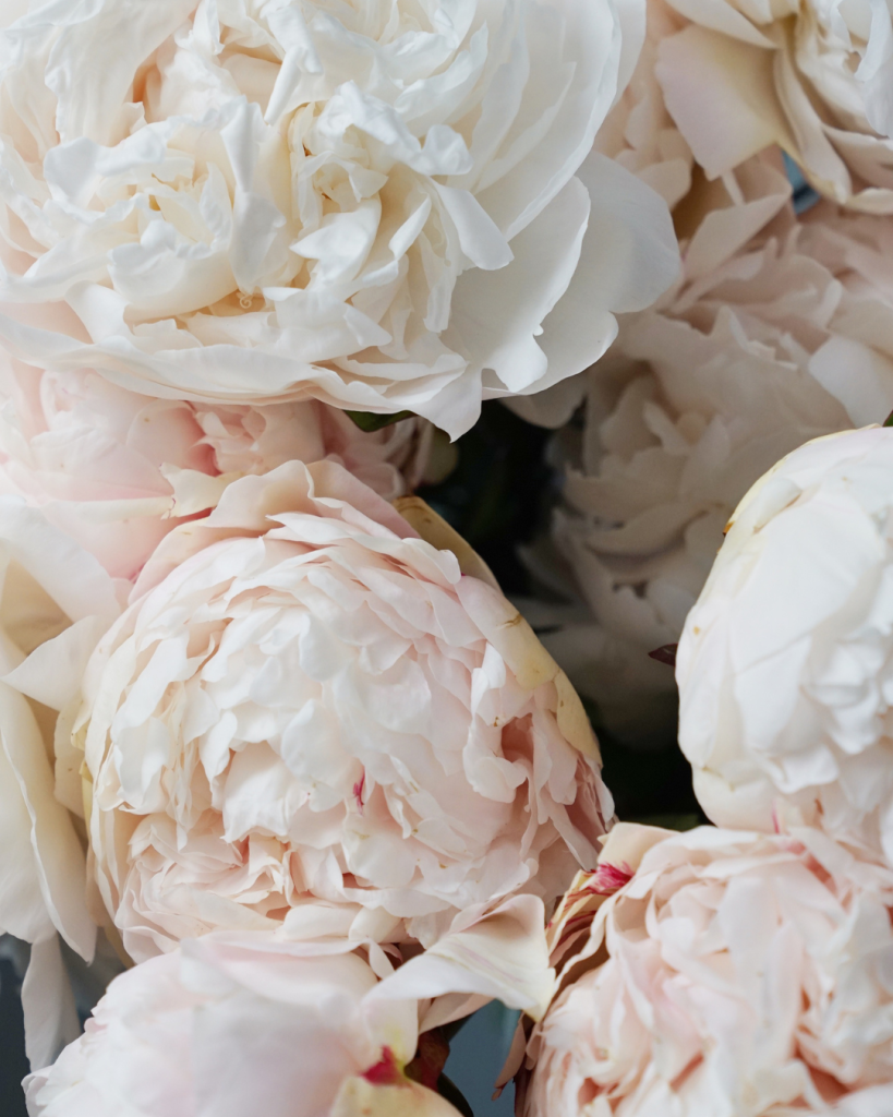 White and pink flowers from the garden are great for Easter arrangements like these Peonies. 