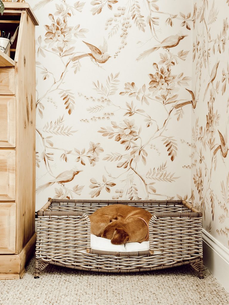 Awesome home office ideas with the addition of a dog bed.