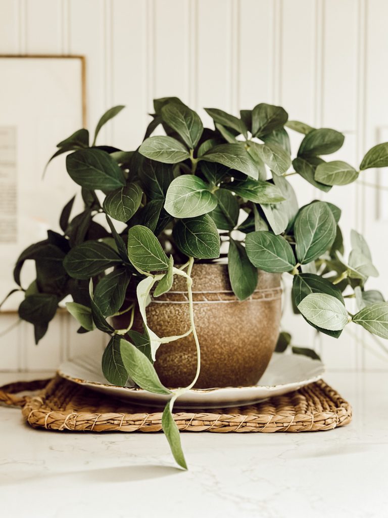 A faux potted plant on the kitchen counter is an easy way to add spring cottagecore decor to your home.
