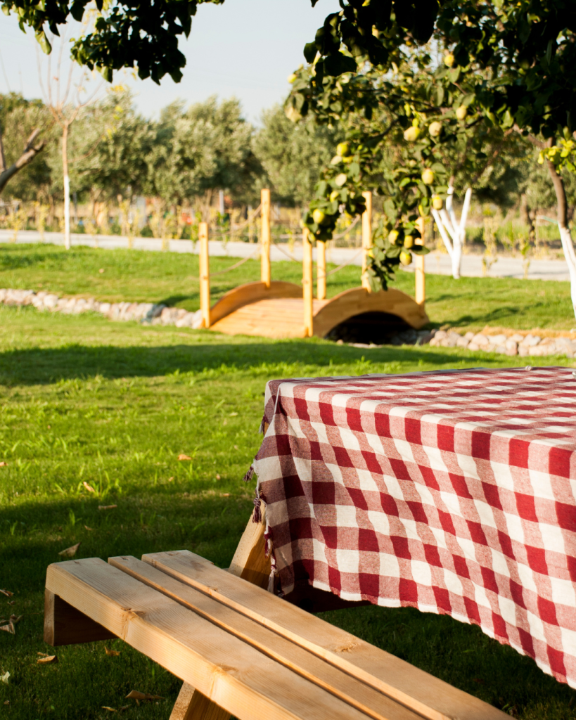 Red gingham tablecloth on a picnic table for summer entertaining outdoors.