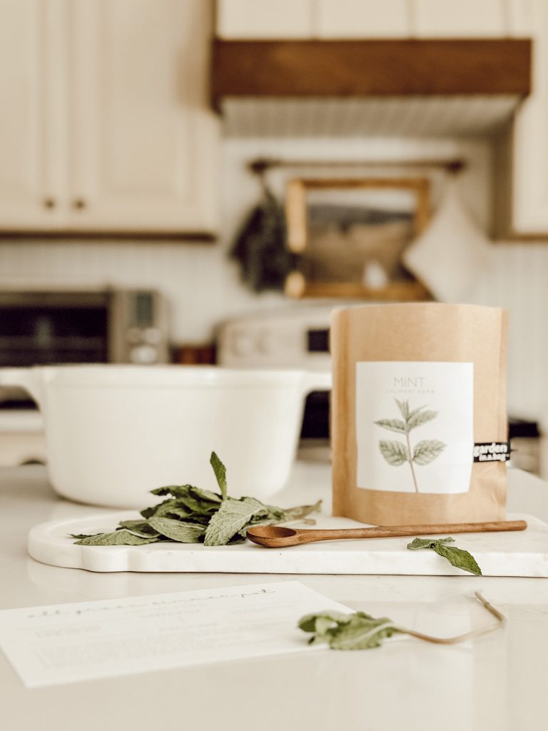 Mint garden in a bag for easily starting an herb garden with fresh herbs. 