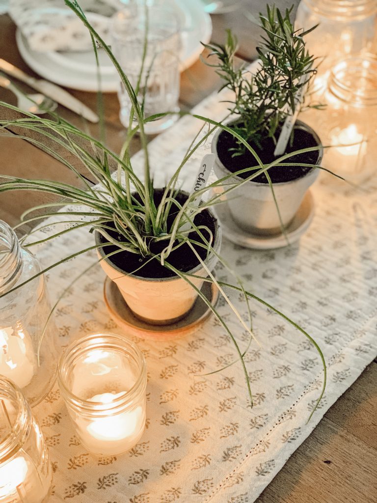 Herbs planted in terracotta pots used as table decorations for easy entertaining. 