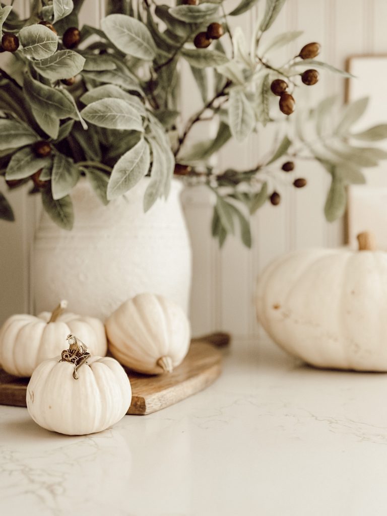 White mini pumpkins on kitchen countertop with a vase of faux olive stems.