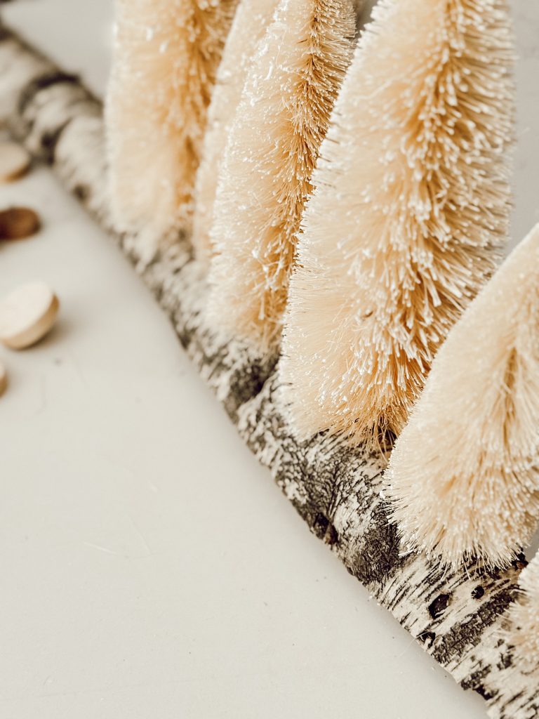 Christmas centerpiece for the holiday season with natural elements.