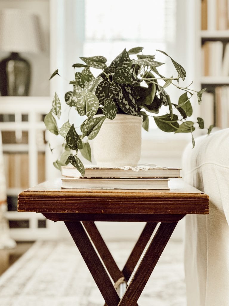 A plant on a wooden stand in family room to add character to the space.