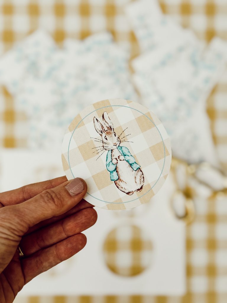 Peter Rabbit gingham circular cut out to add to the paper pennants for the spring garland.
