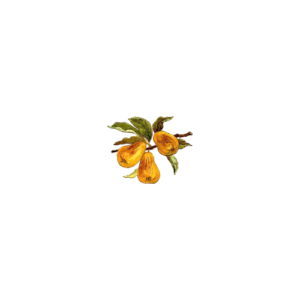 Eleanor Rose Home pear icon for fall on the blog.