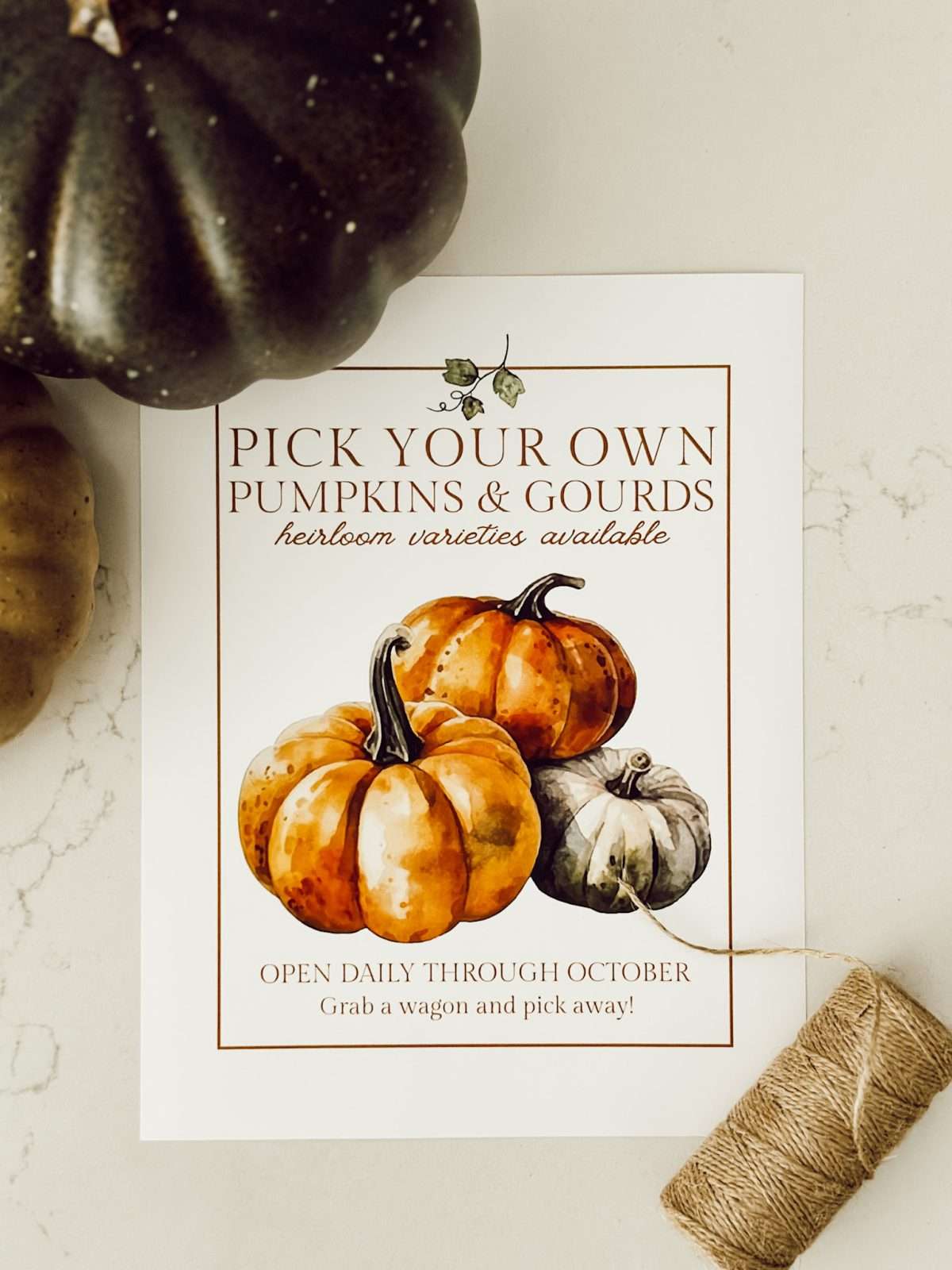 Printable PDF file of a pumpkin patch with faux pumpkins and twine around it.