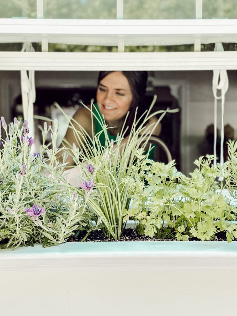 Cozy home ideas on a budget include a window box off the kitchen window filled with fresh herbs.