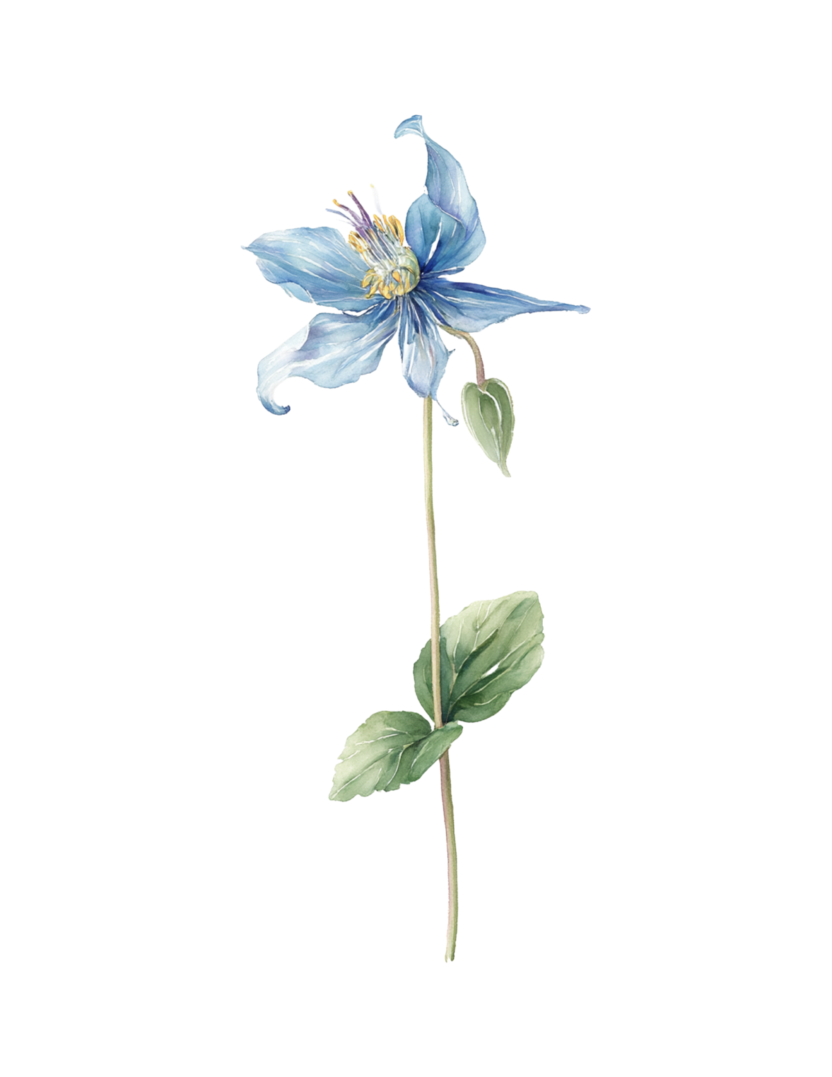 Blue columbine stem from the garden for easy summer decorating.
