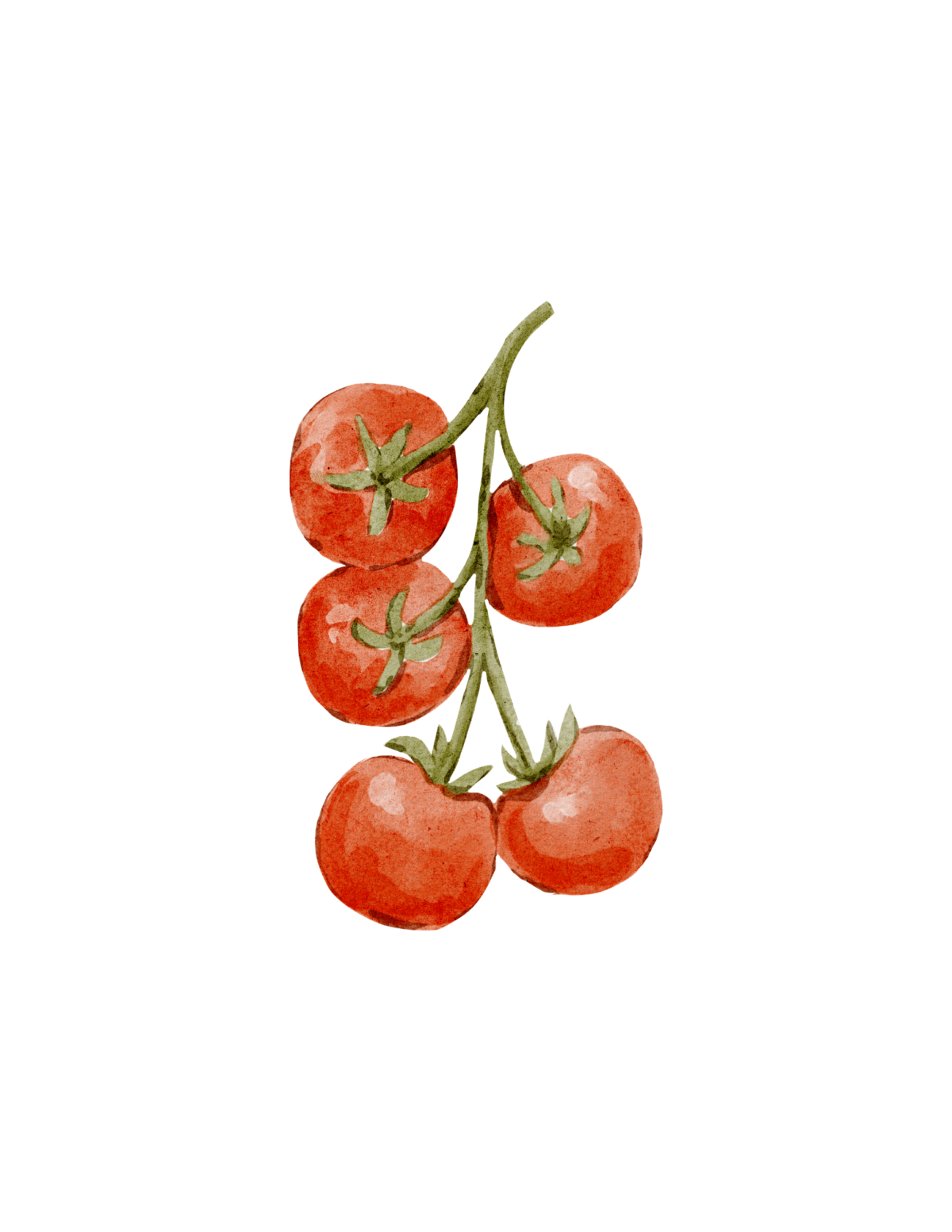 Cherry tomatoes on the vine summer wall art for the kitchen.