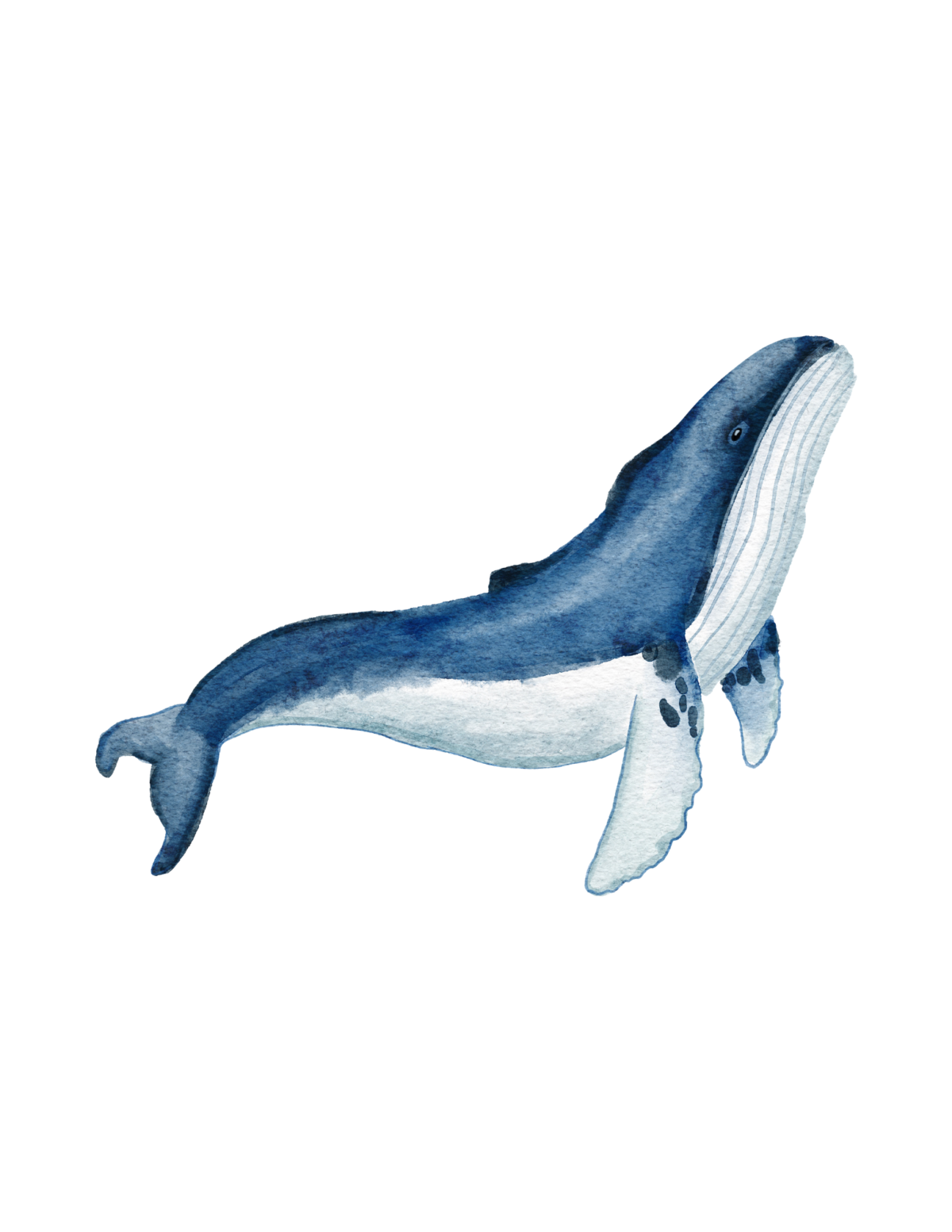 Blue humpback whale print in the summer printable wall art collection.