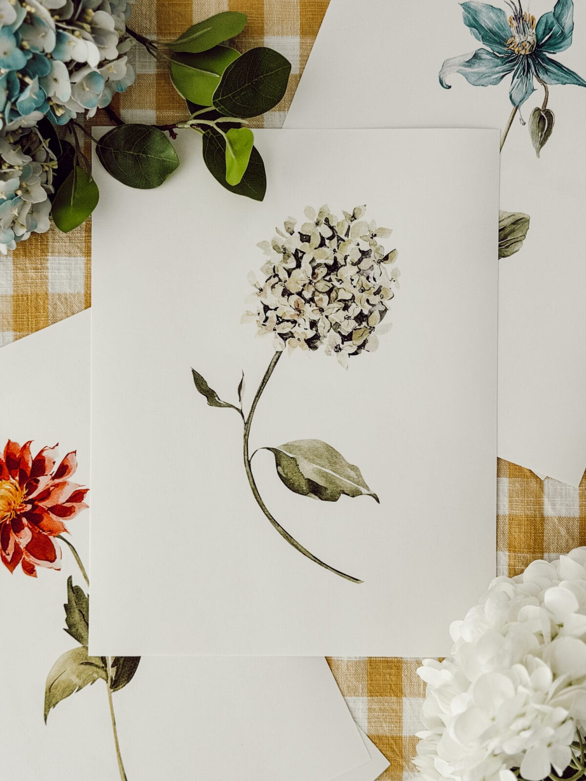 Summer floral artwork featuring a hydrangea stem, dahlia, and blue columbine.
