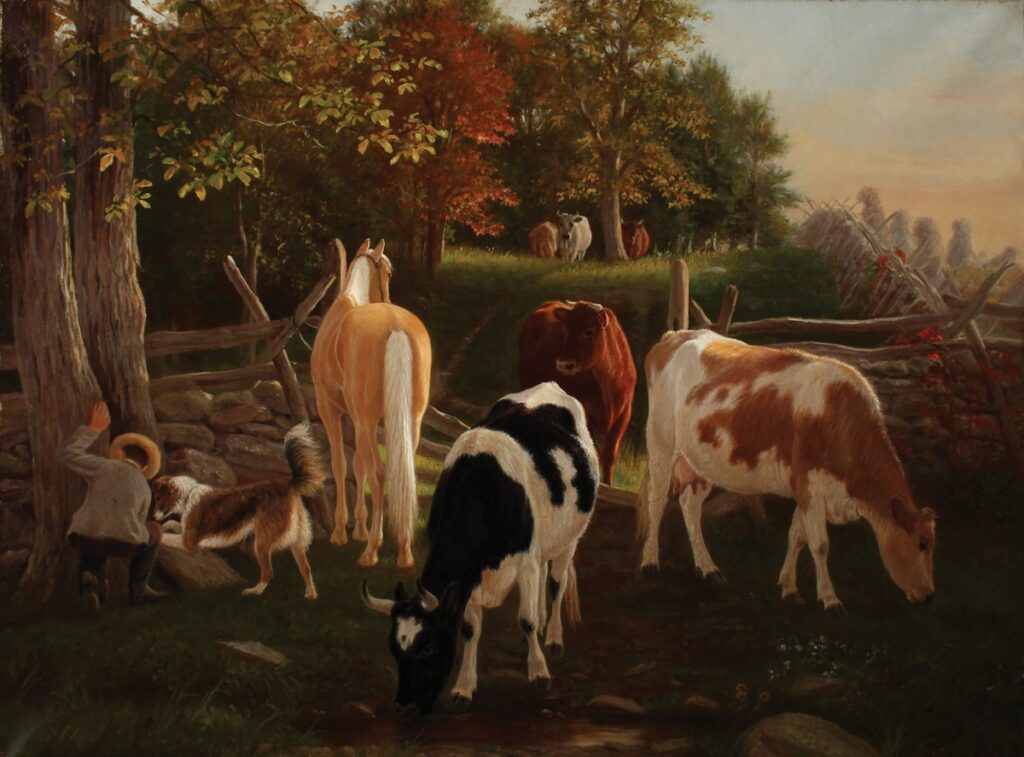 Autumn season with cows on the farm.