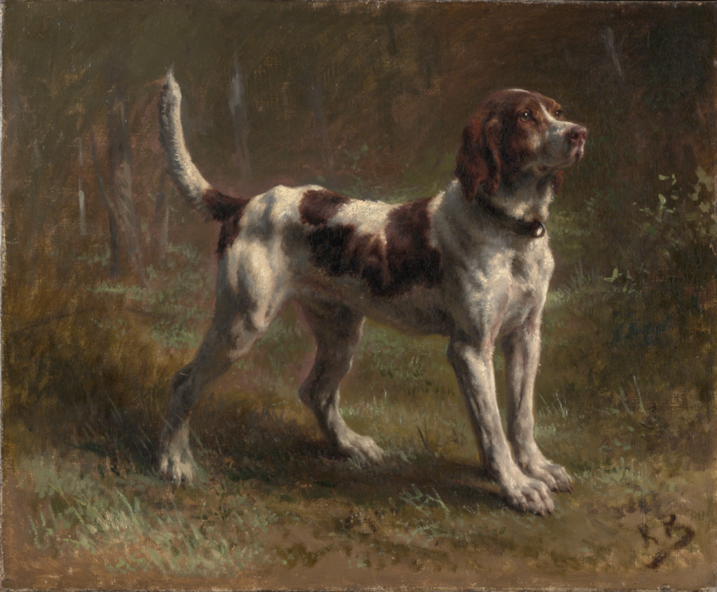 This painting, made from life about 1856, depicts a dog that belonged to a gentleman known as the Vicomte d'Armaille. It is one of Bonheur's numerous portraits of hunting dogs and pets.