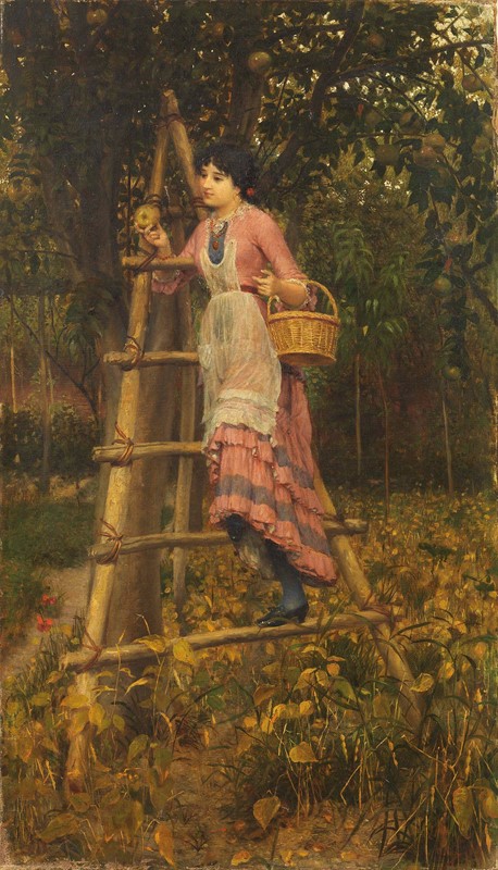 Woman harvesting apples on a ladder in an apple orchard.